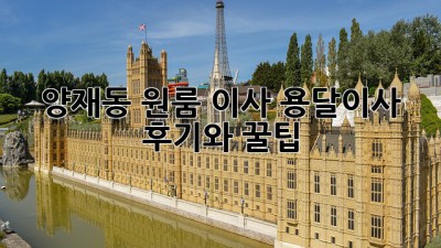 양재동 원룸 이사? 용달이사 후기와 꿀팁!