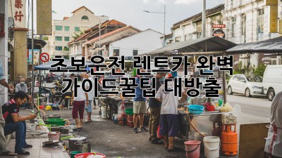 초보운전 렌트카 완벽 가이드🚗🚦꿀팁 대방출!