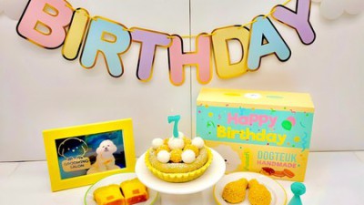 댕댕이 생일, 감동 두 배! 애견 수제 케이크 솔직 후기🎂 (내돈내산)